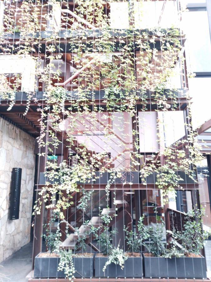 Apartment Departamento Aiken Centrico San Martin de los Andes
